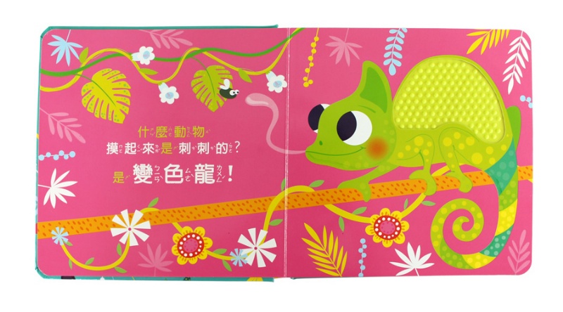 動物大驚奇：觸摸認知書